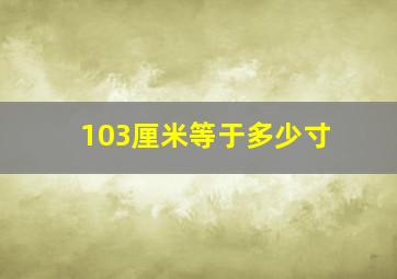 103厘米等于多少寸