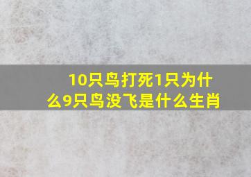 10只鸟打死1只为什么9只鸟没飞是什么生肖