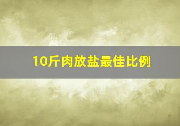 10斤肉放盐最佳比例