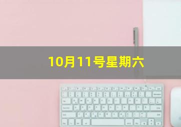 10月11号星期六