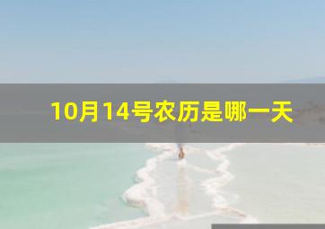 10月14号农历是哪一天