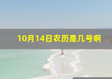 10月14日农历是几号啊