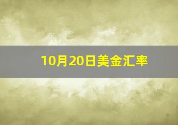 10月20日美金汇率