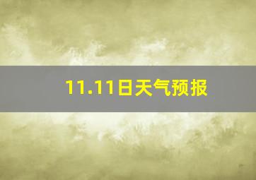 11.11日天气预报