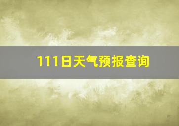 111日天气预报查询