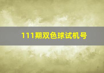 111期双色球试机号