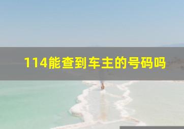 114能查到车主的号码吗