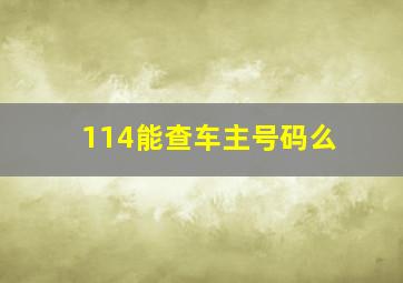 114能查车主号码么