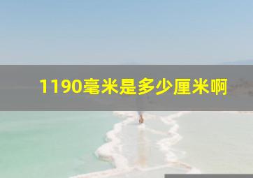 1190毫米是多少厘米啊