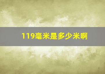 119毫米是多少米啊