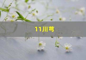 11川芎