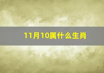 11月10属什么生肖