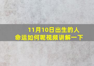 11月10日出生的人命运如何呢视频讲解一下