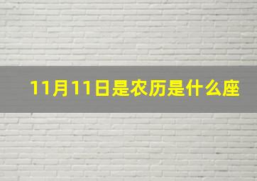 11月11日是农历是什么座