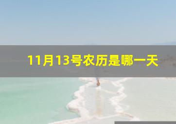 11月13号农历是哪一天