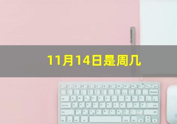 11月14日是周几