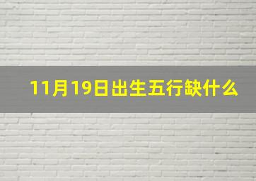 11月19日出生五行缺什么