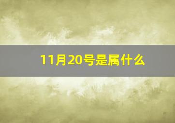 11月20号是属什么