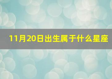 11月20日出生属于什么星座