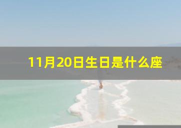 11月20日生日是什么座