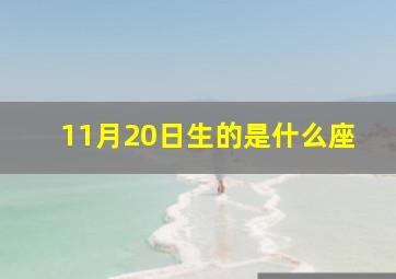 11月20日生的是什么座