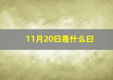 11月20曰是什么曰