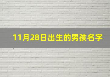 11月28日出生的男孩名字