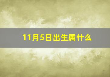 11月5日出生属什么