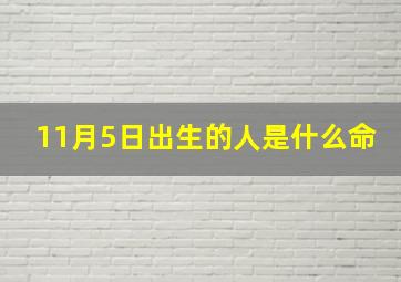 11月5日出生的人是什么命