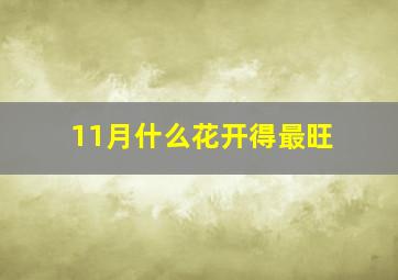 11月什么花开得最旺