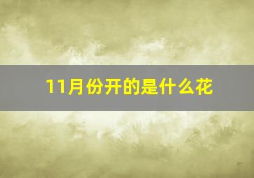 11月份开的是什么花