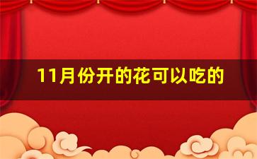 11月份开的花可以吃的