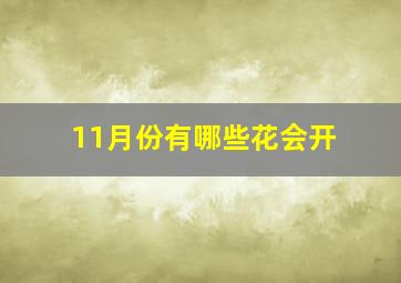 11月份有哪些花会开