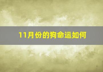 11月份的狗命运如何