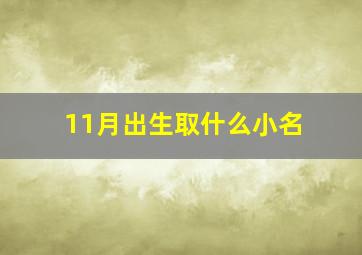 11月出生取什么小名