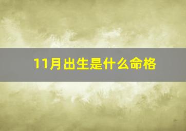 11月出生是什么命格