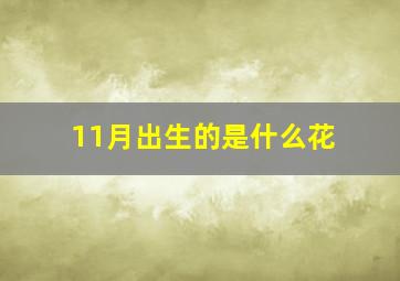 11月出生的是什么花