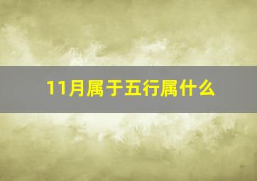 11月属于五行属什么