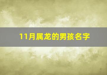 11月属龙的男孩名字