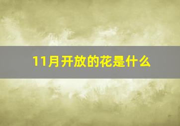 11月开放的花是什么