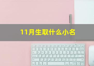 11月生取什么小名