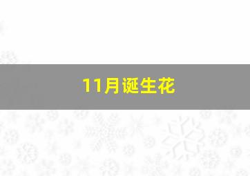 11月诞生花