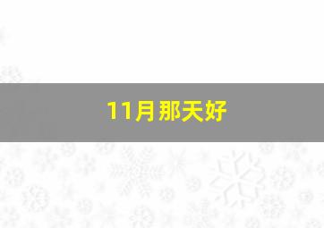 11月那天好