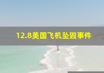 12.8美国飞机坠毁事件