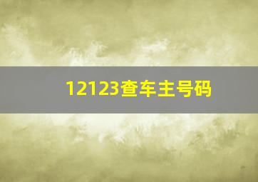 12123查车主号码