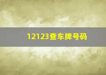 12123查车牌号码