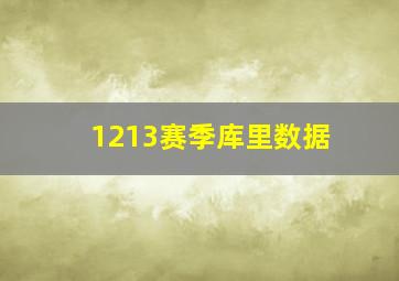 1213赛季库里数据