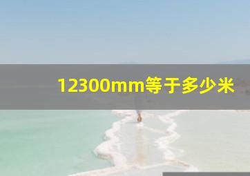 12300mm等于多少米