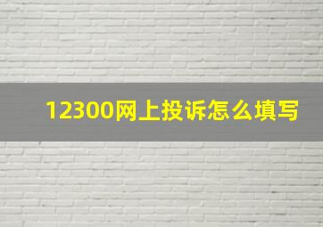 12300网上投诉怎么填写