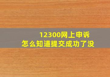 12300网上申诉怎么知道提交成功了没